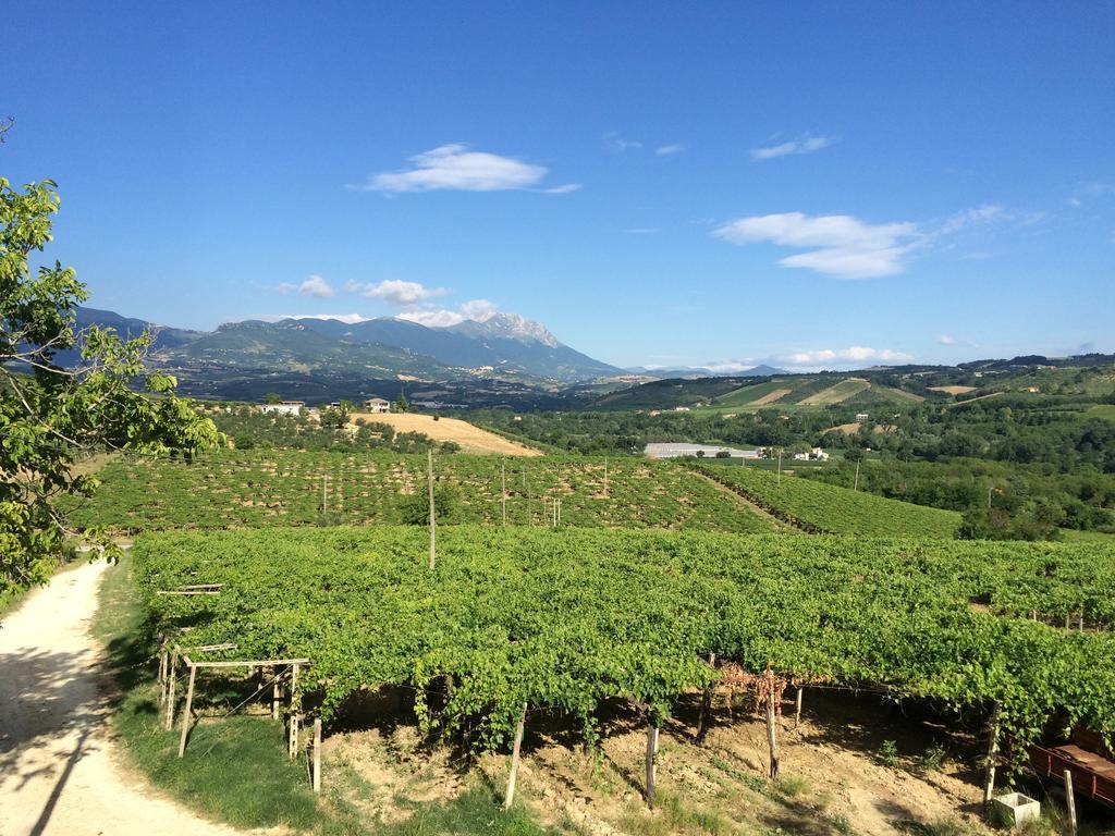 Masseria Del Vino ロレート・アプルティーノ エクステリア 写真