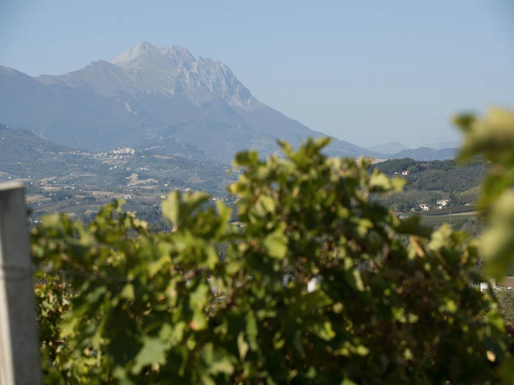 Masseria Del Vino ロレート・アプルティーノ エクステリア 写真