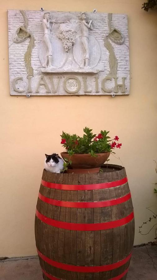 Masseria Del Vino ロレート・アプルティーノ エクステリア 写真