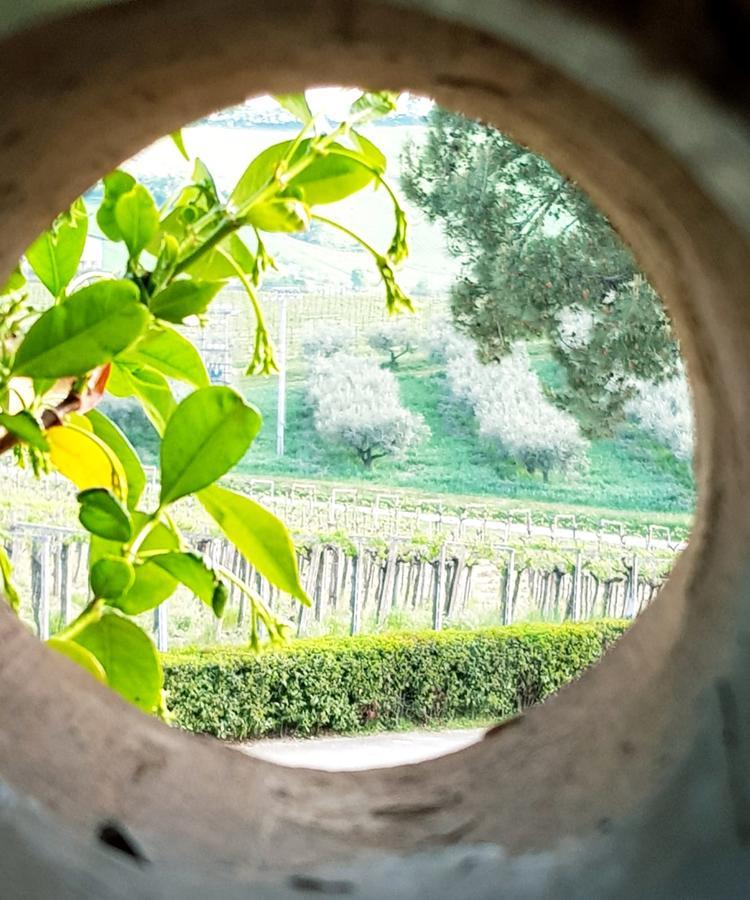 Masseria Del Vino ロレート・アプルティーノ エクステリア 写真