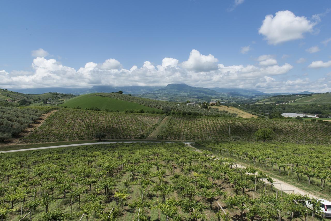 Masseria Del Vino ロレート・アプルティーノ エクステリア 写真